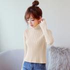 Multi-color Turtleneck Sweater