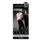 The Saem - Silk Hair Glam Color Speedy Cream (#1n Deep Black)