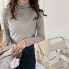 Turtleneck Long-sleeve Skinny Top