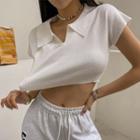 Cap-sleeve Collared Knit Crop Top