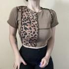 Short Sleeve Leopard Print Paneled Knit Top