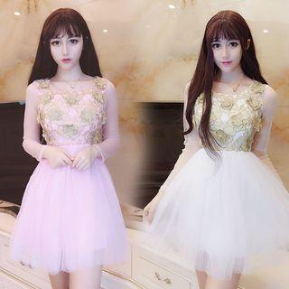 Floral Embroidered Mesh Long-sleeve A-line Dress