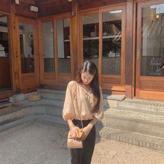 Balloon-sleeve Dot Embroidery Blouse Orange - One Size