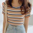 Short-sleeve Striped Knit Top Premium Edition - Stripe - Yellow - One Size