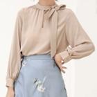 Long-sleeve Ribbon Accent Chiffon Blouse