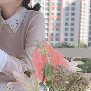 Lace-neck Contrast-trim Top