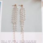 Fringe Beaded Earring