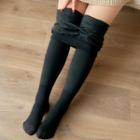 Plus Size Fleece-lined Stirrup Tights / Tights