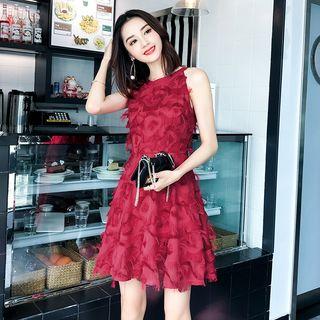 Fringe Trim Sleeveless A-line Dress