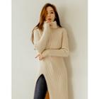 Turtle-neck Slit-side Ribbed Knit Dress