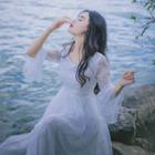 Embroidered Flared-sleeve Midi A-line Dress