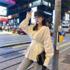 Plain V-neck Long-sleeve Blouse White - One Size