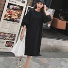 Two-tone Pleated Panel Pullover Dress