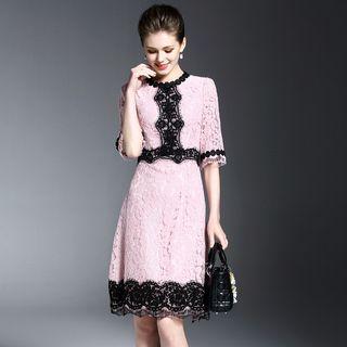 Contrast Trim Elbow Sleeve A-line Lace Dress