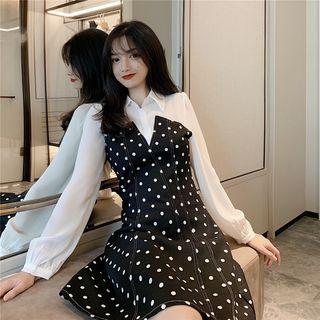 Long Sleeve Dotted Panel A-line Dress