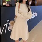 Crochet Lace Panel A-line Sweater Dress