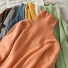 High-neck Skinny Sweater In 10 Colors