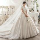 Cap Sleeve Lace Panel High Waist Embroidered Wedding Ball Gown