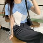 Color Block Panel Cropped T-shirt