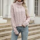 Turtle Neck Long Sleeve Cable Knit Sweater