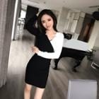 Color Panel Long Sleeve V-neck Knit Dress