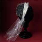 Wedding Faux Pearl Mesh Headband / Earring / Gloves / Set