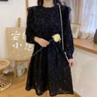 Lace Blouse / Long-sleeve A-line Dress