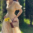 Puff-sleeve V-neck Button-up A-line Dress