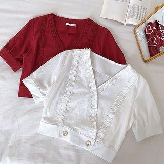 Plain Lace Panel V-neck Short-sleeve Blouse