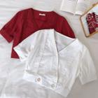 Plain Lace Panel V-neck Short-sleeve Blouse