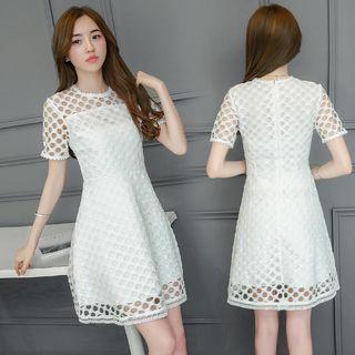 Mesh Covered Short-sleeve A-line Dress