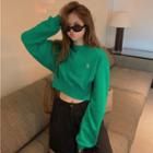 Letter Embroidered Cropped Sweatshirt Green - One Size