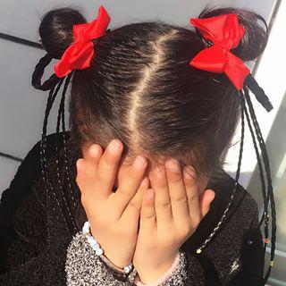 Braid Hair Clip