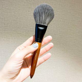 Blush Brush Black & Brown - One Size