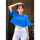 Vivid Color Cropped T-shirt