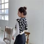 Zebra / Leopard Print Knit Shawl