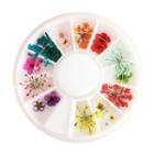 Dry Flower Nail Art Decoration 12g-17 - One Size