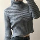 Plain Turtleneck Cropped Sweater