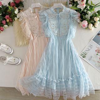 Pearl Button Lace Mesh Dress