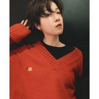 V-neck Cartoon Embroidered Sweater