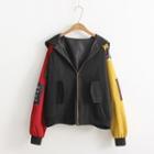 Patched Color Block Hooded Jacket