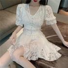 Lace V-neck Cropped Top / High-waist Skirt