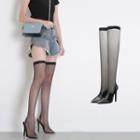 Pointed Mesh High Heel Over-the-knee Boots