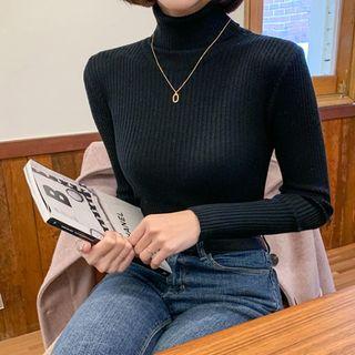 Turtle-neck Colored Ribbed Knit Top