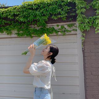 Puff-sleeve Embroidery Blouse Ivory - One Size