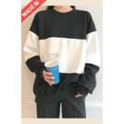 Color-block Loose-fit Sweatshirt