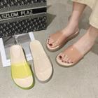 Platform Clear Strap Slide Sandals