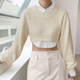 Plain Crop Shirt / Sweater