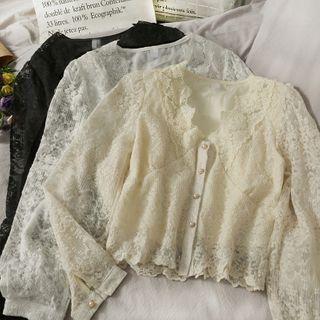 Embroidered Lace V-neck Blouse