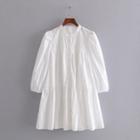 Long-sleeve Mini A-line Eyelet Dress